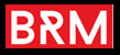 Business Risk Management Services